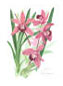 arts hobby image